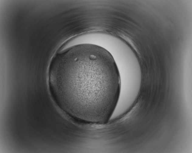 X0000088871034200706151750