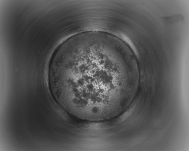 X0000088871035200706151750