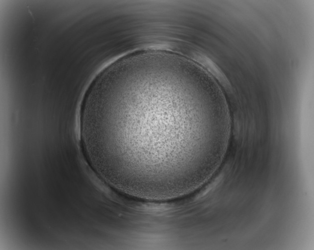 X0000088871036200706151750