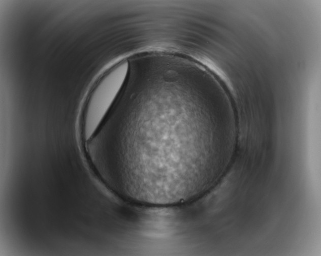 X0000088871037200706151750