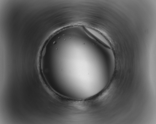 X0000088871038200706151750