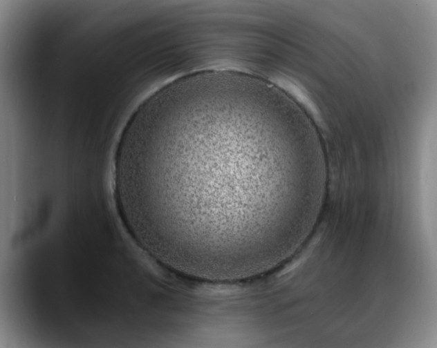 X0000088871040200706151750