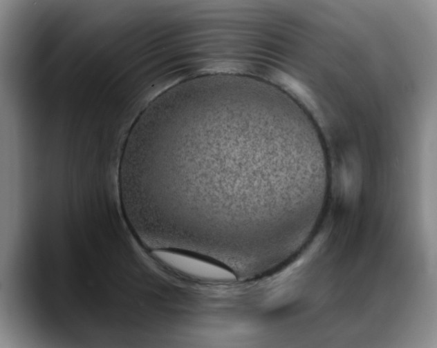 X0000088871041200706151750