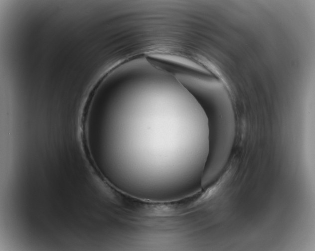 X0000088871042200706151750