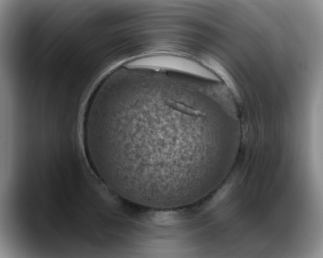 X0000088871043200706151750