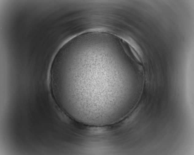 X0000088871044200706151750