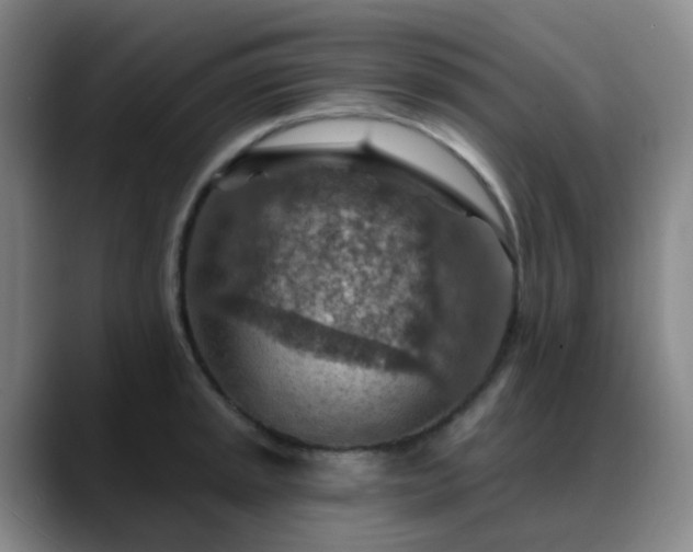 X0000088871045200706151750