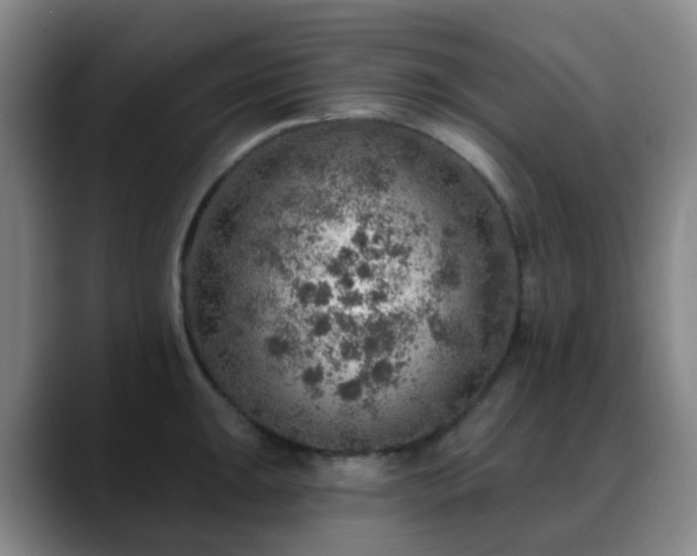 X0000088871047200706151750