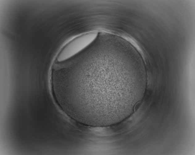 X0000088871048200706151750