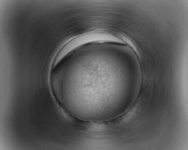 X0000088871050200706151750