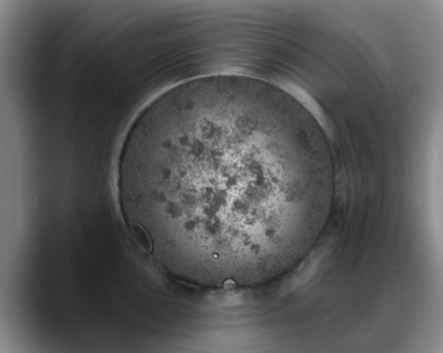 X0000088871051200706151750