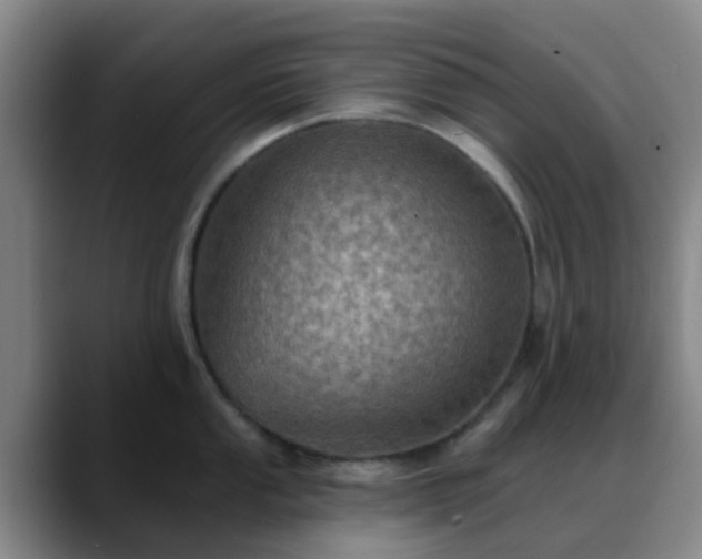 X0000088871053200706151750