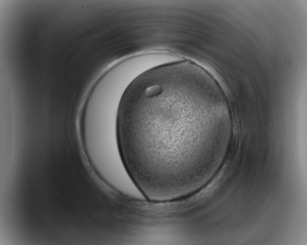 X0000088871054200706151750
