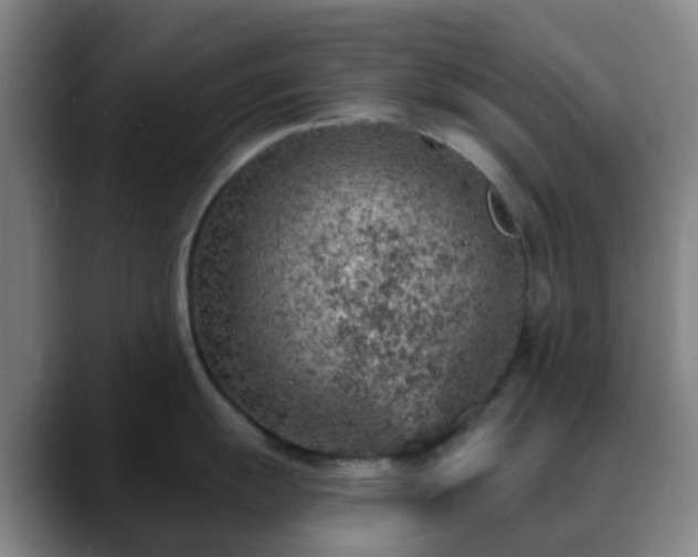 X0000088871055200706151750