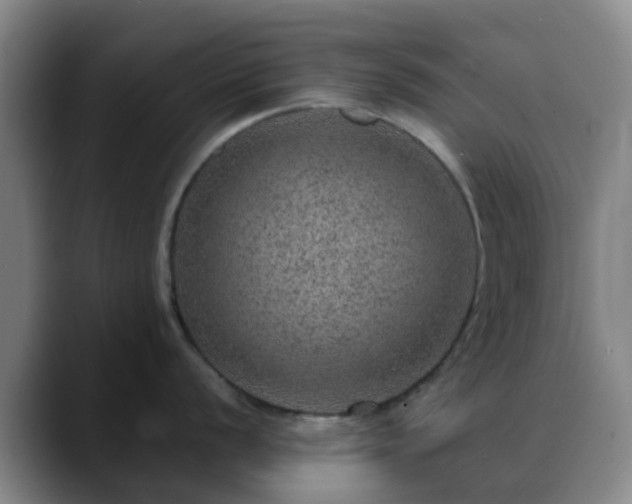 X0000088871056200706151750