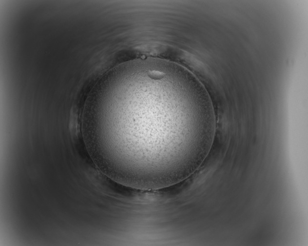 X0000088871058200706151749