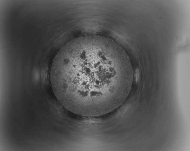 X0000088871059200706151749