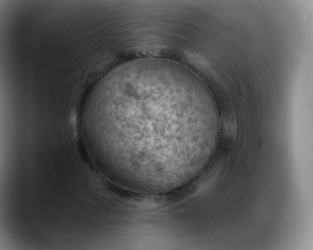 X0000088871060200706151749