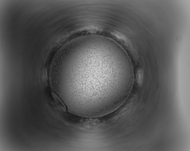 X0000088871062200706151749