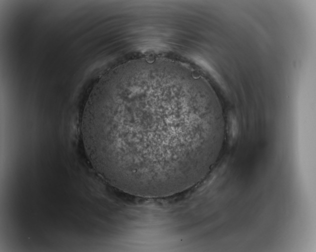 X0000088871063200706151749