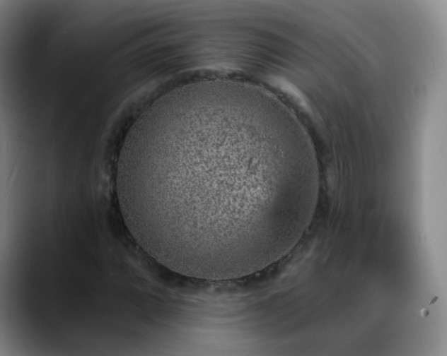 X0000088871064200706151749