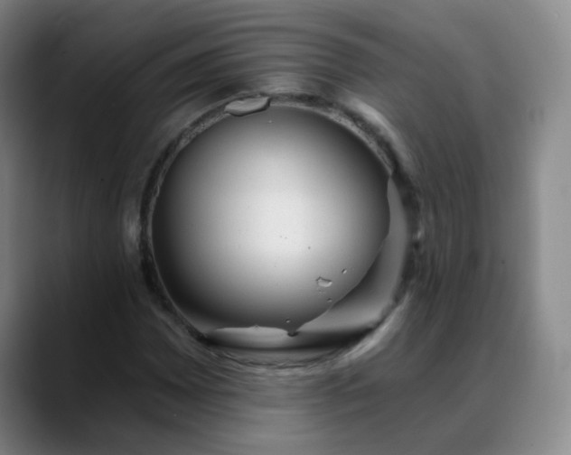 X0000088871065200706151749