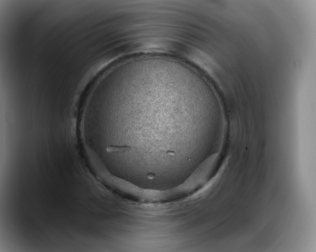 X0000088871066200706151749
