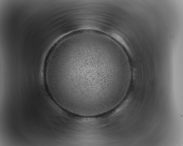 X0000088871068200706151749