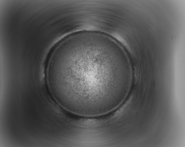 X0000088871070200706151749