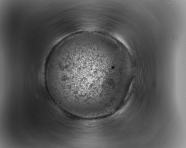 X0000088871071200706151749