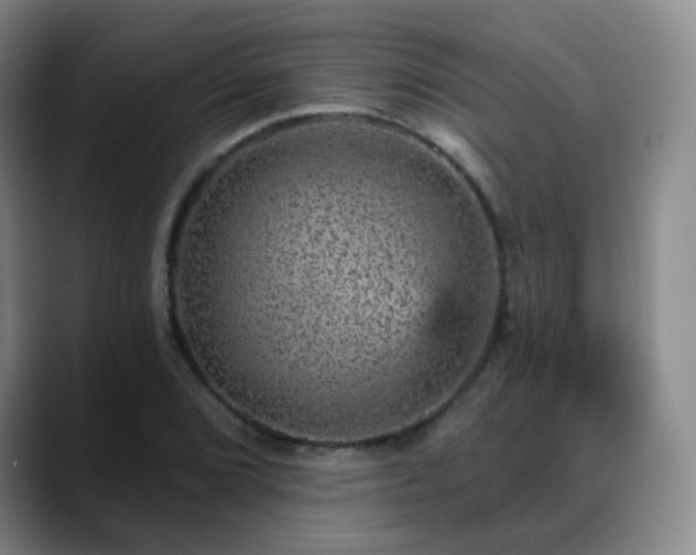 X0000088871072200706151749