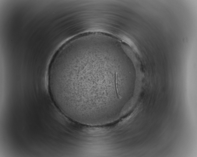 X0000088871076200706151749