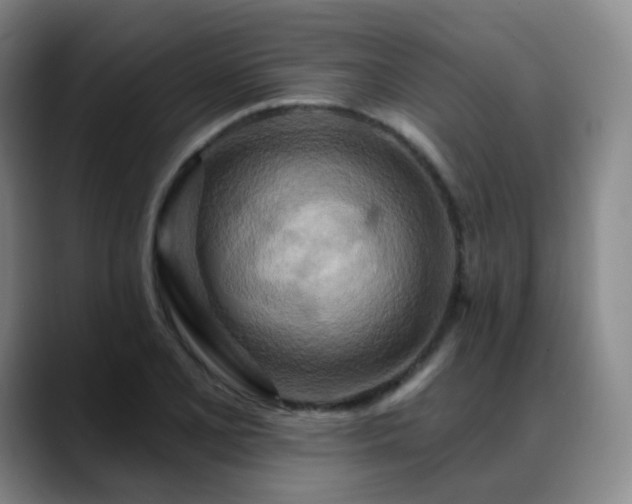 X0000088871077200706151749