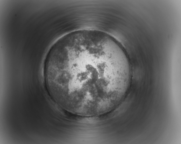 X0000088871078200706151749