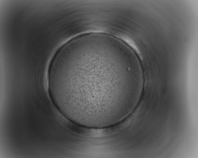 X0000088871080200706151749