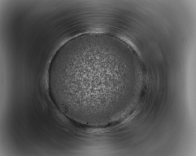 X0000088871083200706151749