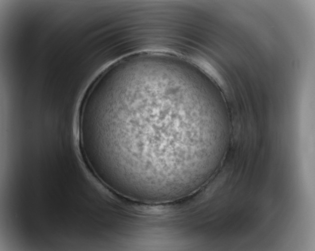 X0000088871084200706151749