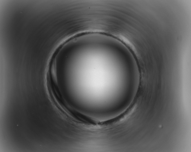 X0000088871085200706151749