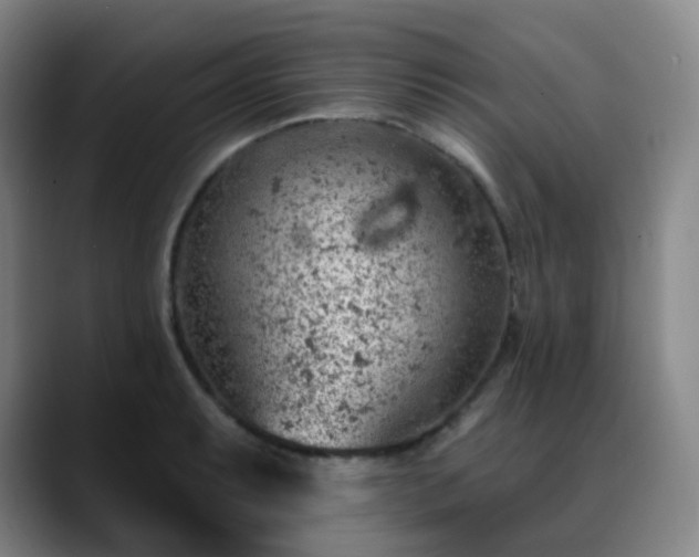X0000088871087200706151749