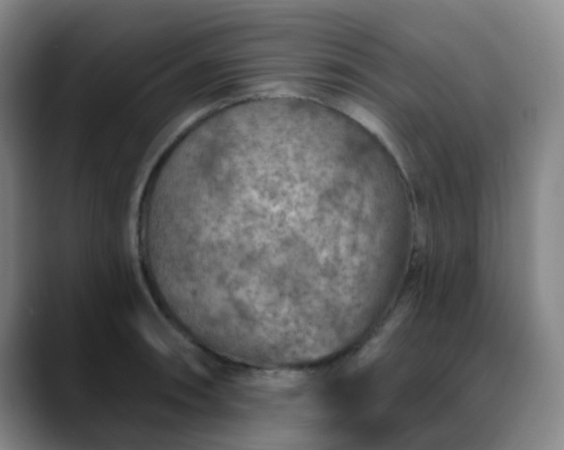 X0000088871090200706151749