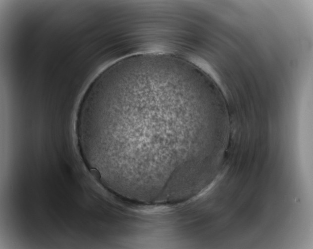 X0000088871091200706151749