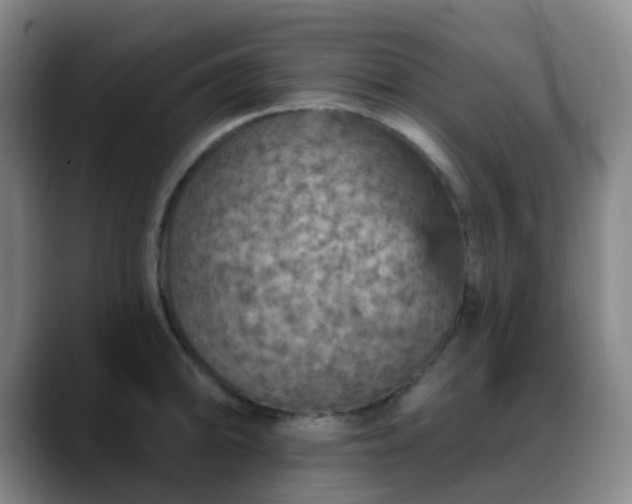 X0000088871094200706151749