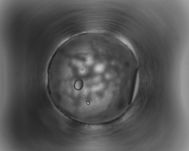 X0000088871095200706151749