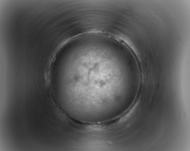 X0000088871097200706151749