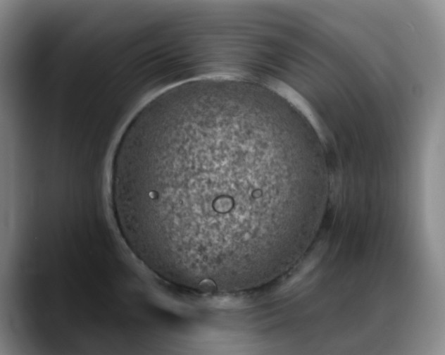 X0000088871099200706151749