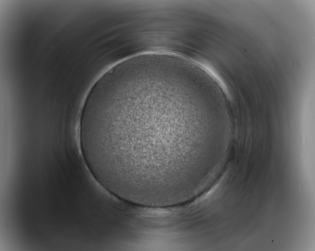 X0000088871100200706151749