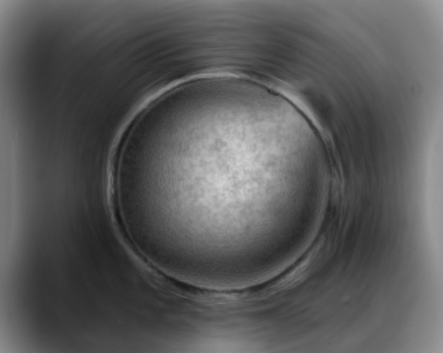 X0000088871101200706151749