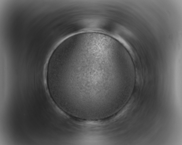 X0000088871102200706151749