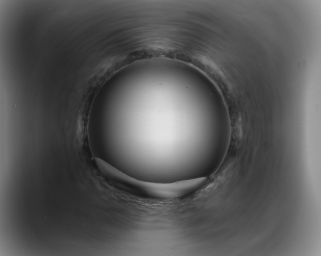 X0000088871110200706151748