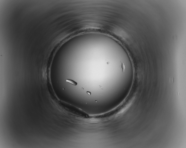 X0000088871113200706151748